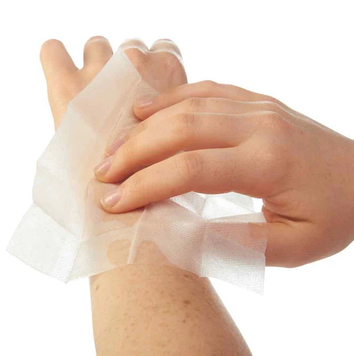 Ben's Tick & Insect Repellent 30% Deet Wipes (12 wipes)