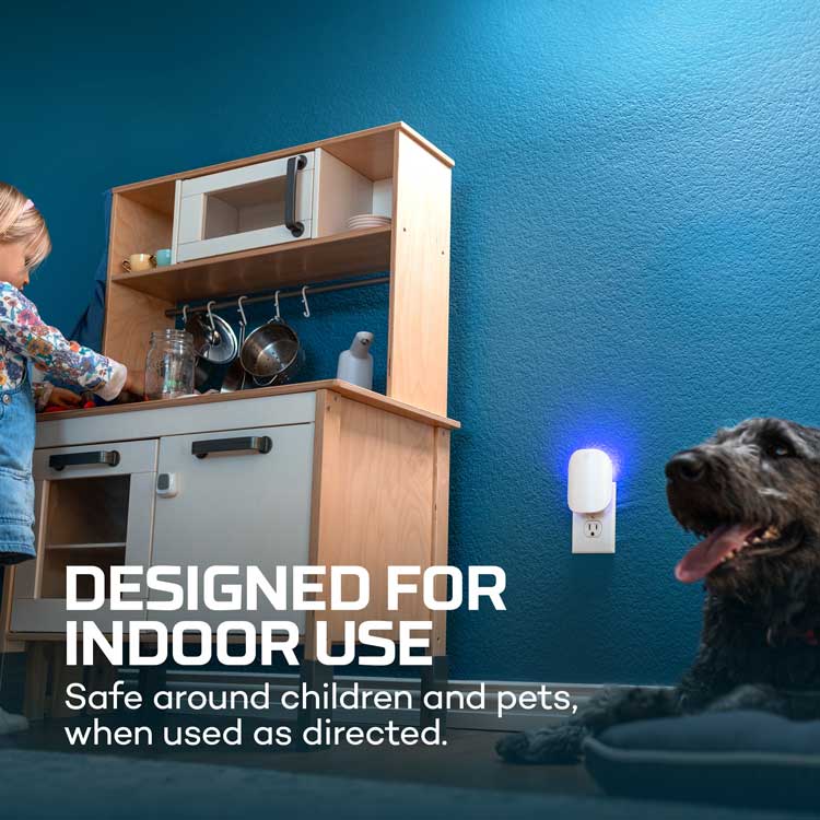 NEBO Flying Insect Trap (NO CHEMICALS) - KBM Outdoors