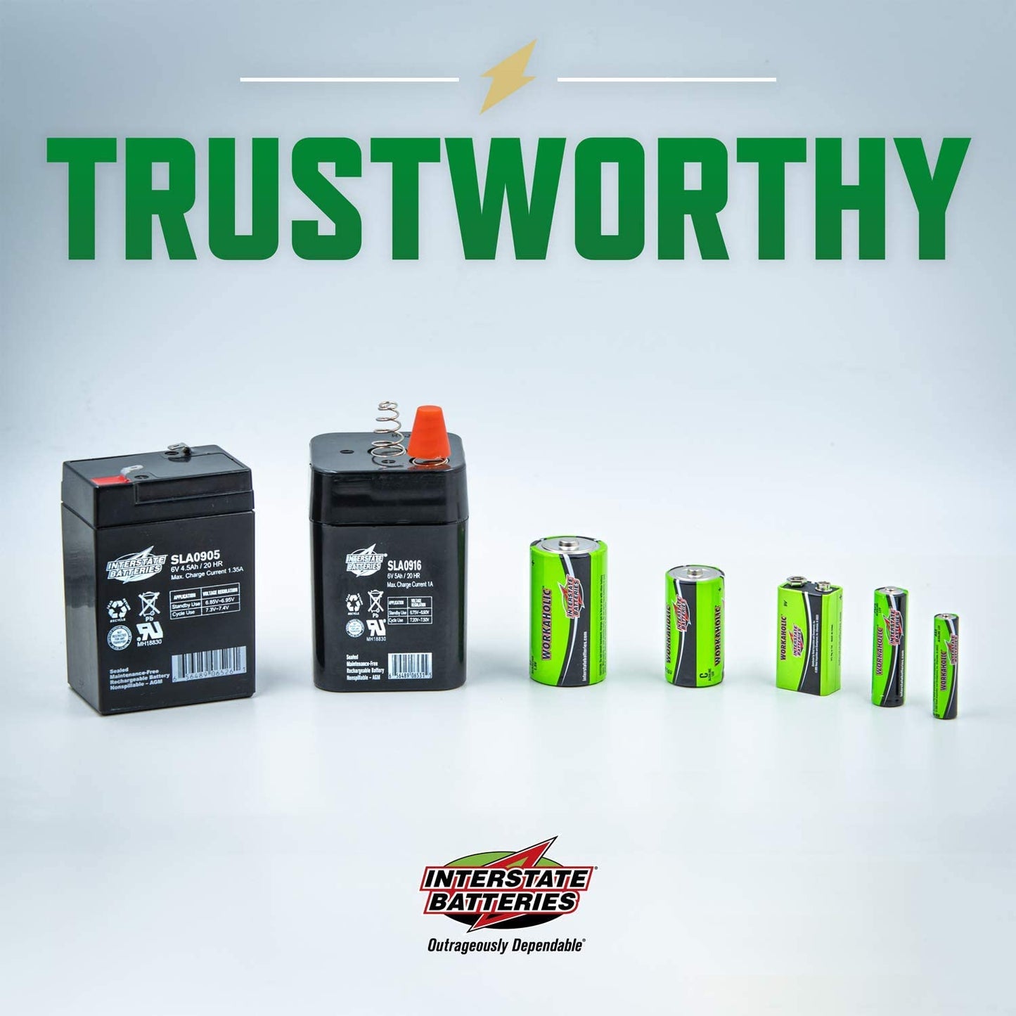 Interstate Batteries AAA All-Purpose Alkaline Battery 24 Pack - Workaholic (DRY0075) - KBM Outdoors