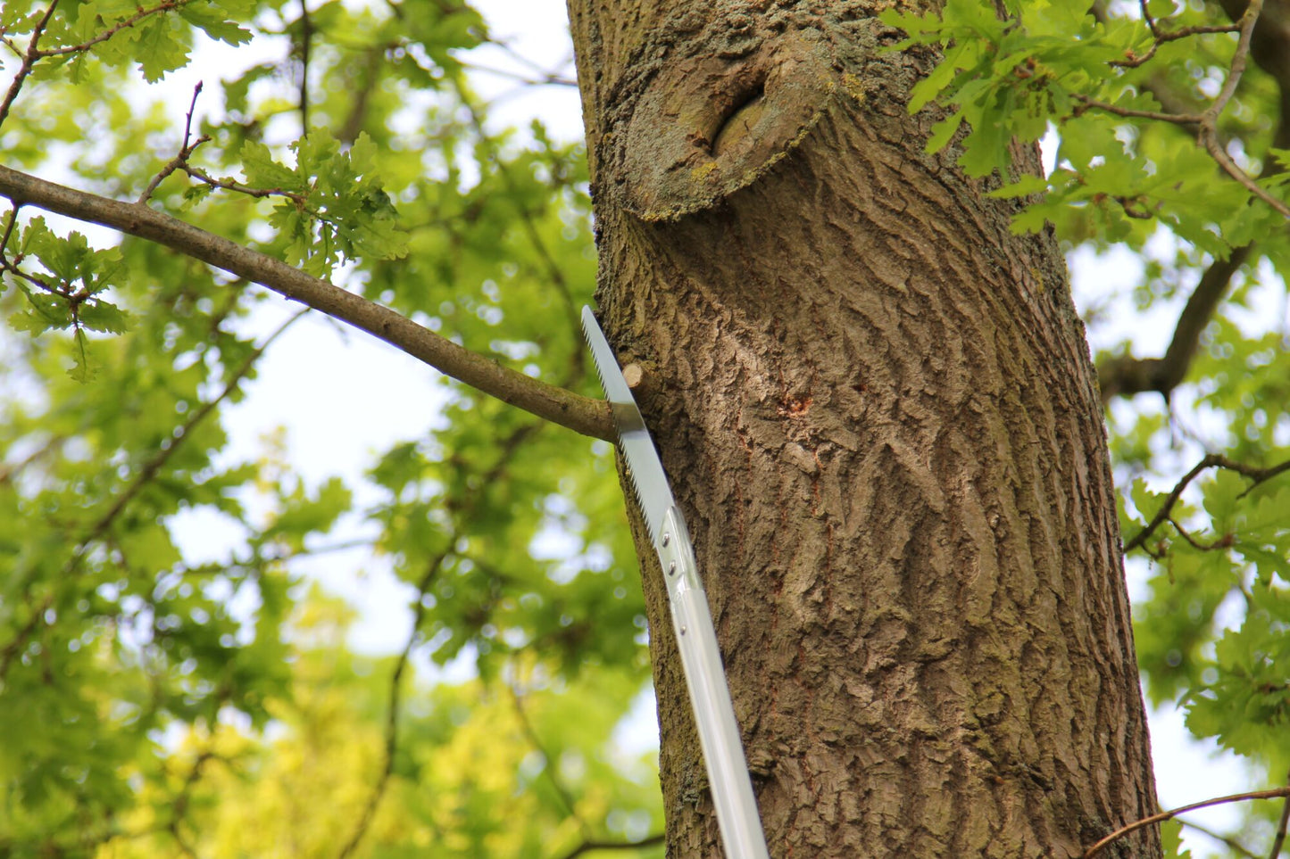 ARS Pole Saw - KBM Outdoors