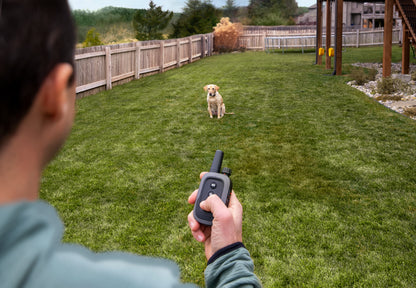 Garmin Delta SE Bundle - Handheld & Dog Collar (010-02608-00)