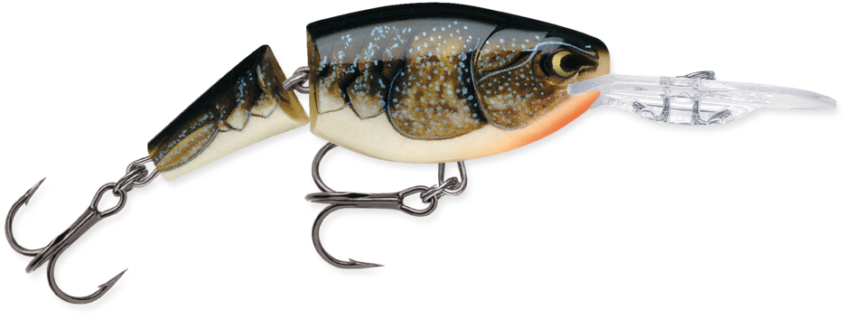 Rapala Jointed Shad Rap 2"