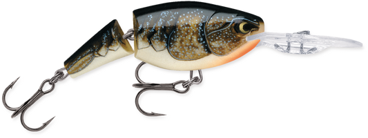 Rapala Jointed Shad Rap 2"