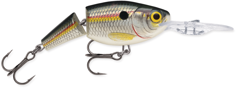 Rapala Jointed Shad Rap 2-3/4"