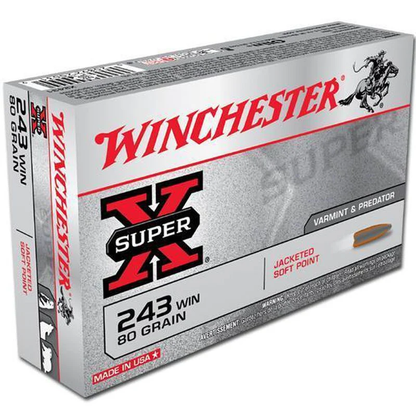 Winchester 30-06 SPRG 180 grains Power Point, munitions pour carabine