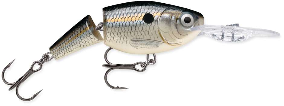 Rapala Jointed Shad Rap 2"
