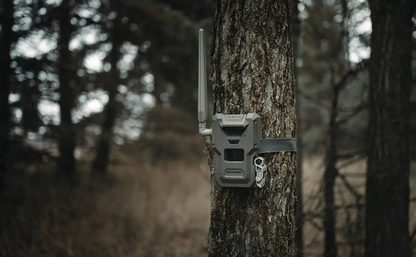 SpyPoint FLEX-M2 Cellular Trail Camera
