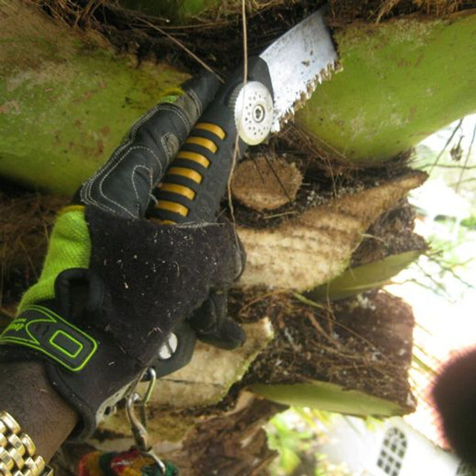 Silky Sugoi Pro Arborist Sheath Saw 420 - Curved - XLarge Teeth (390-42)