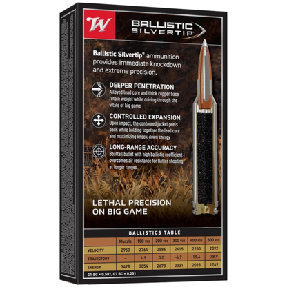 Winchester Ballistic Silvertip 300 Winchester Magnum - 180 Grain