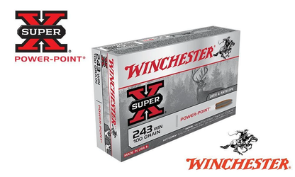 Winchester 30-06 SPRG 180 grains Power Point, munitions pour carabine