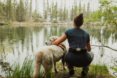 Kodiak Wildlife Comfort Bear Safety Belt - KBM Outdoors